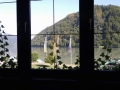 imag1798_web