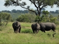 Suedafrika 2019