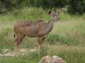 Suedafrika 2019