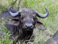 Suedafrika 2019