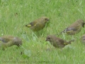 2012-09-17_132459_web